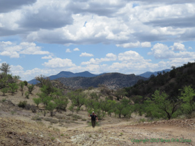 Shaun hiking along AZT Passage 4.