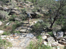 Climbing further up into the foothills of the Rincon Mountains.