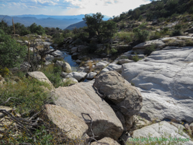 A beautiful stream flows over the bedrock of the Rincon Mountains.