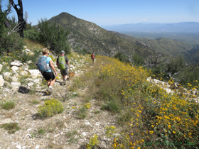 Cheetah, Shaun and Jerry descending the north side of the Santa Catalina Mountains.