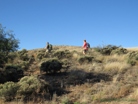 Jerry and Cheetah among the hills of Passage 13.