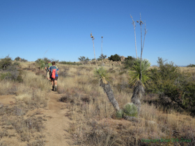 Jerry and Cheetah among the hills of Passage 13.