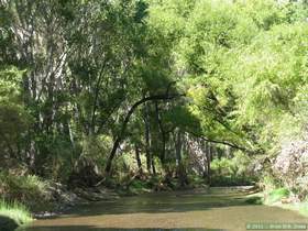 Hiking down Aravaipa Canyon