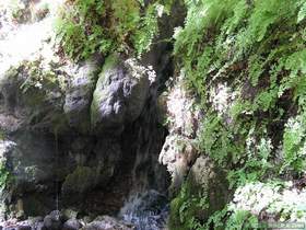 A spring in Hell Hole Canyon