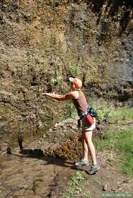 Patricia taking in a small seep in Hell Hole Canyon.