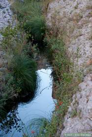 Horse Camp Canyon