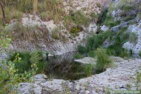 A glassy black pool in Horse Camp Canyon