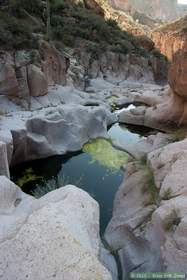 Horse Camp Canyon