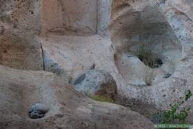 A ground squirrel in Horse Camp Canyon taking on the posture of a big horn sheep.