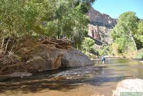 Brad marveling at the beauty of Aravaipa Canyon.
