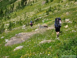 A beautiful area below Cut Bank Pass.