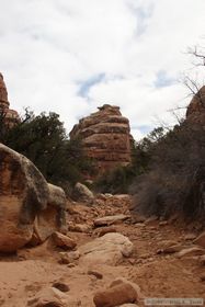 Hiking up Toadie Canyon.