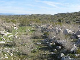 A possible debris flow levee coming out of the Harcuvar Mountains.