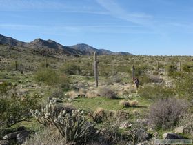 Hiking the last stretch to the truck.