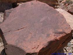 Petroglyphs on a fallen boulder.